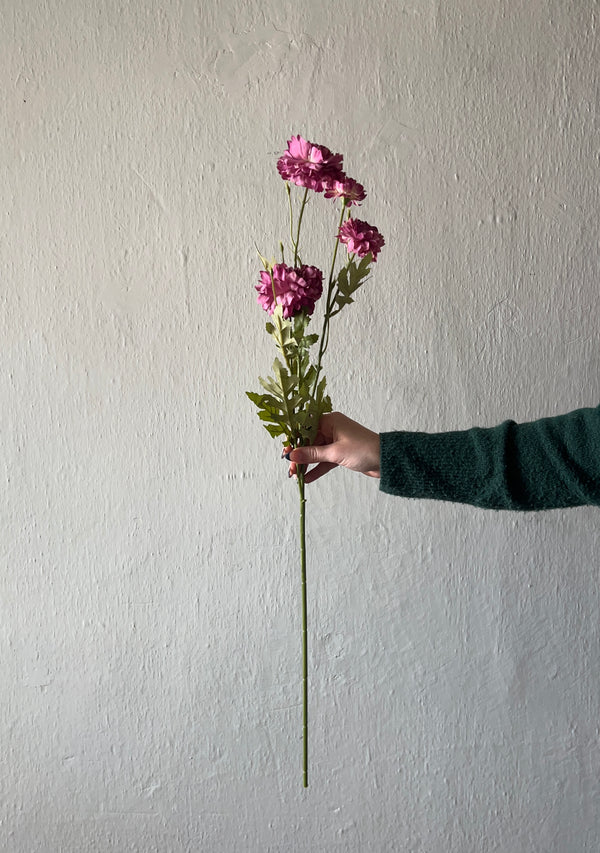 DEEP PINK DAISY STEM