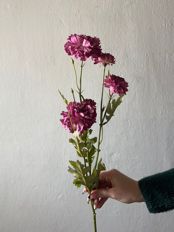 DEEP PINK DAISY STEM