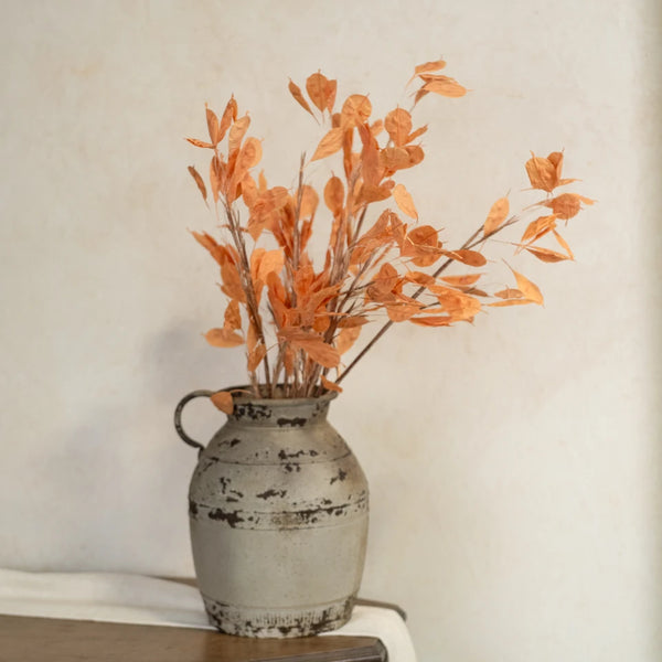 ORANGE SILVER DOLLAR STEM