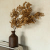 41" BEIGE CASPIA SPRAY