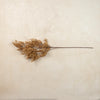 41" BEIGE CASPIA SPRAY