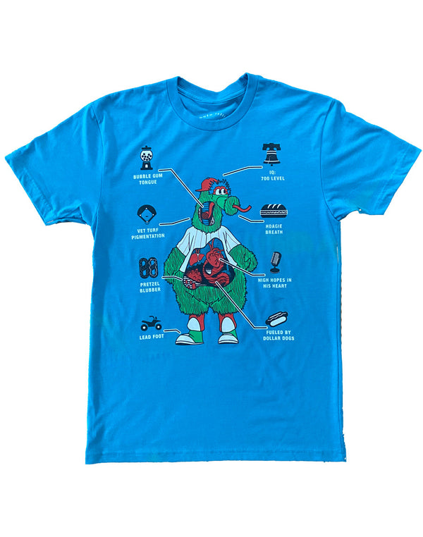 ANATOMY OF A FUZZ MONSTER