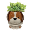 DOG FOOTSIE PLANTER