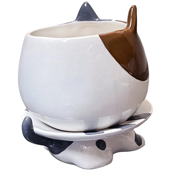 FOOTSIE PLANTER - CAT'S MEOW