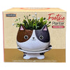 FOOTSIE PLANTER - CAT'S MEOW