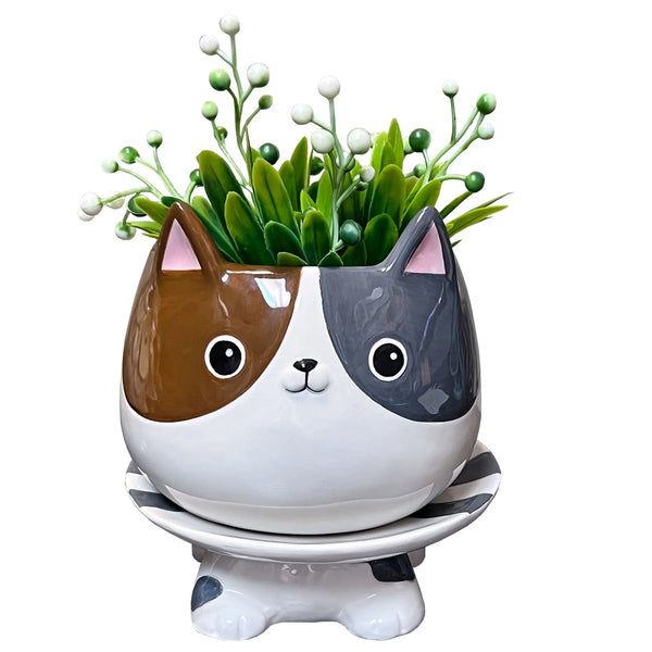 FOOTSIE PLANTER - CAT'S MEOW