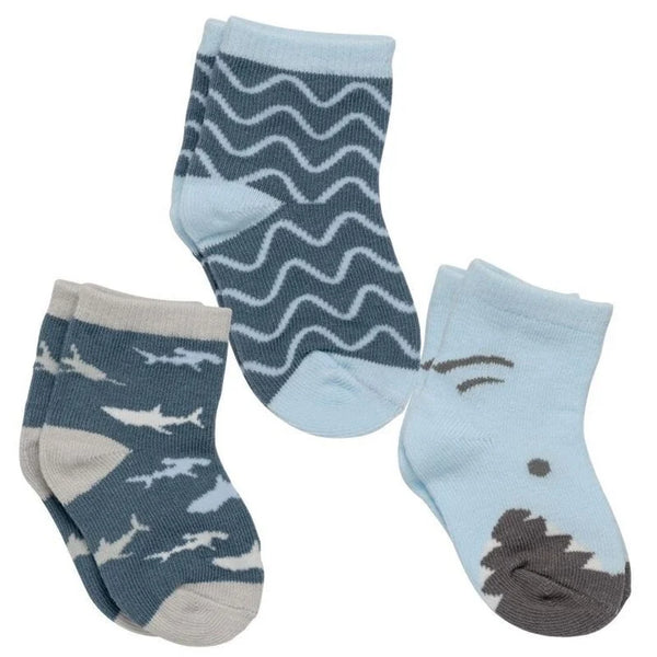 3 SOCK SET SHARKS BOXED
