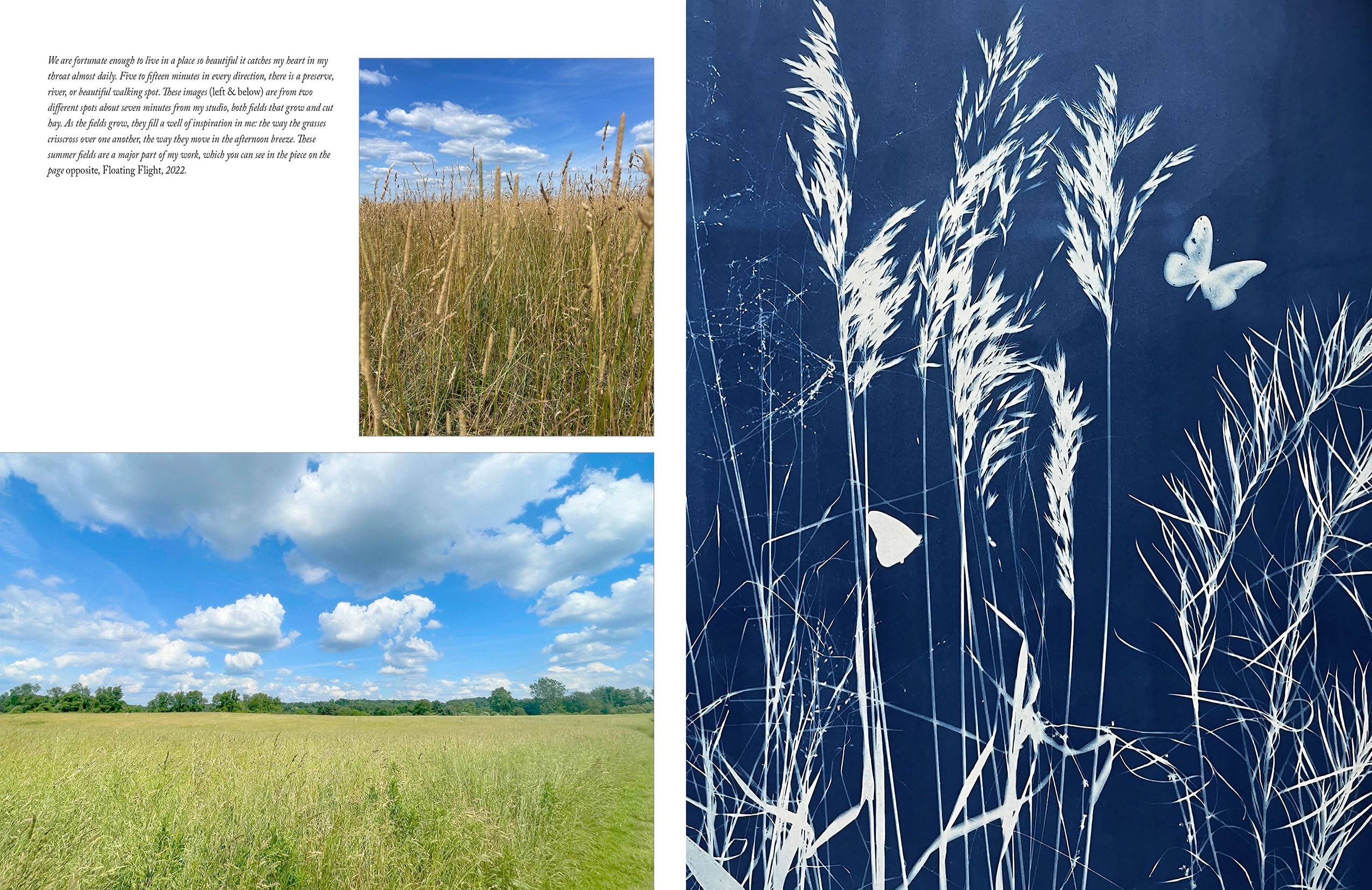 BOTANICAL CYANOTYPE: A GUIDE TO THE ART OF SUN PRINTING