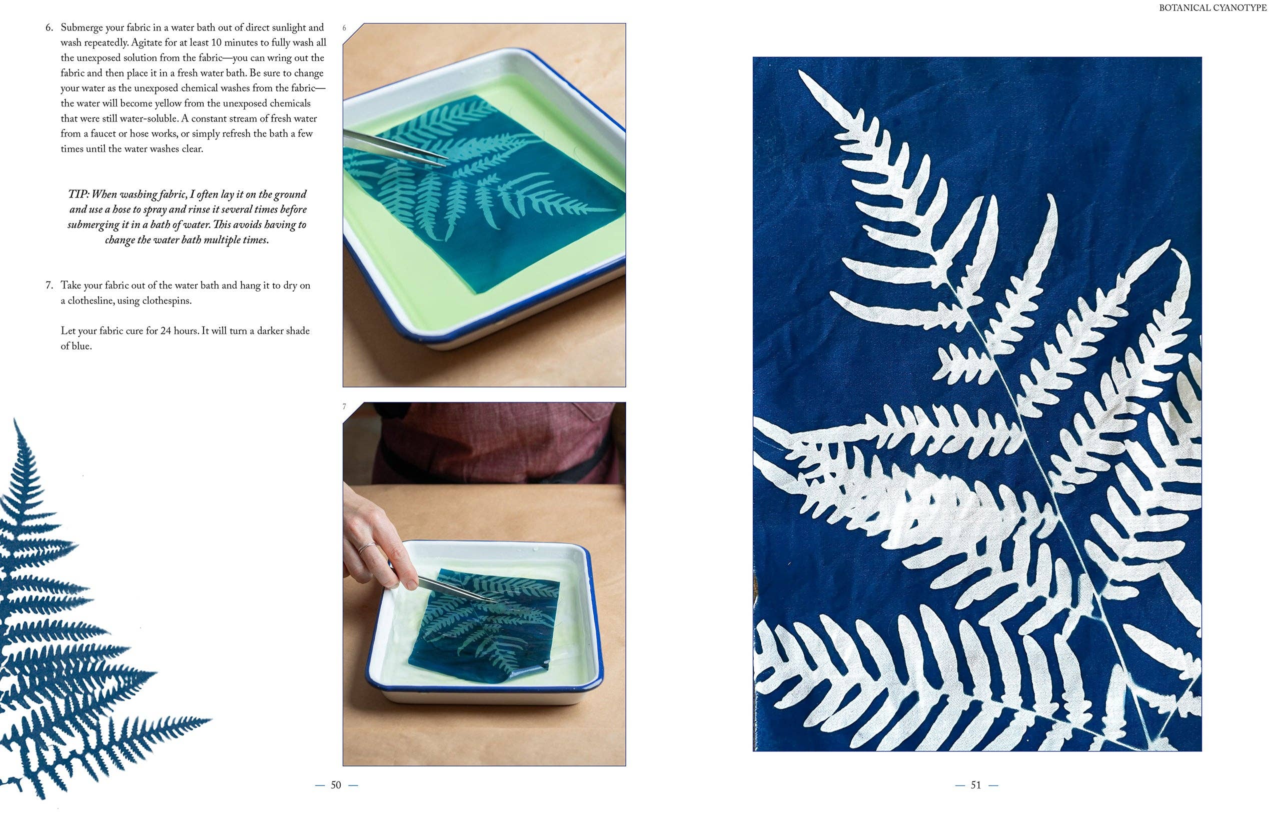 BOTANICAL CYANOTYPE: A GUIDE TO THE ART OF SUN PRINTING