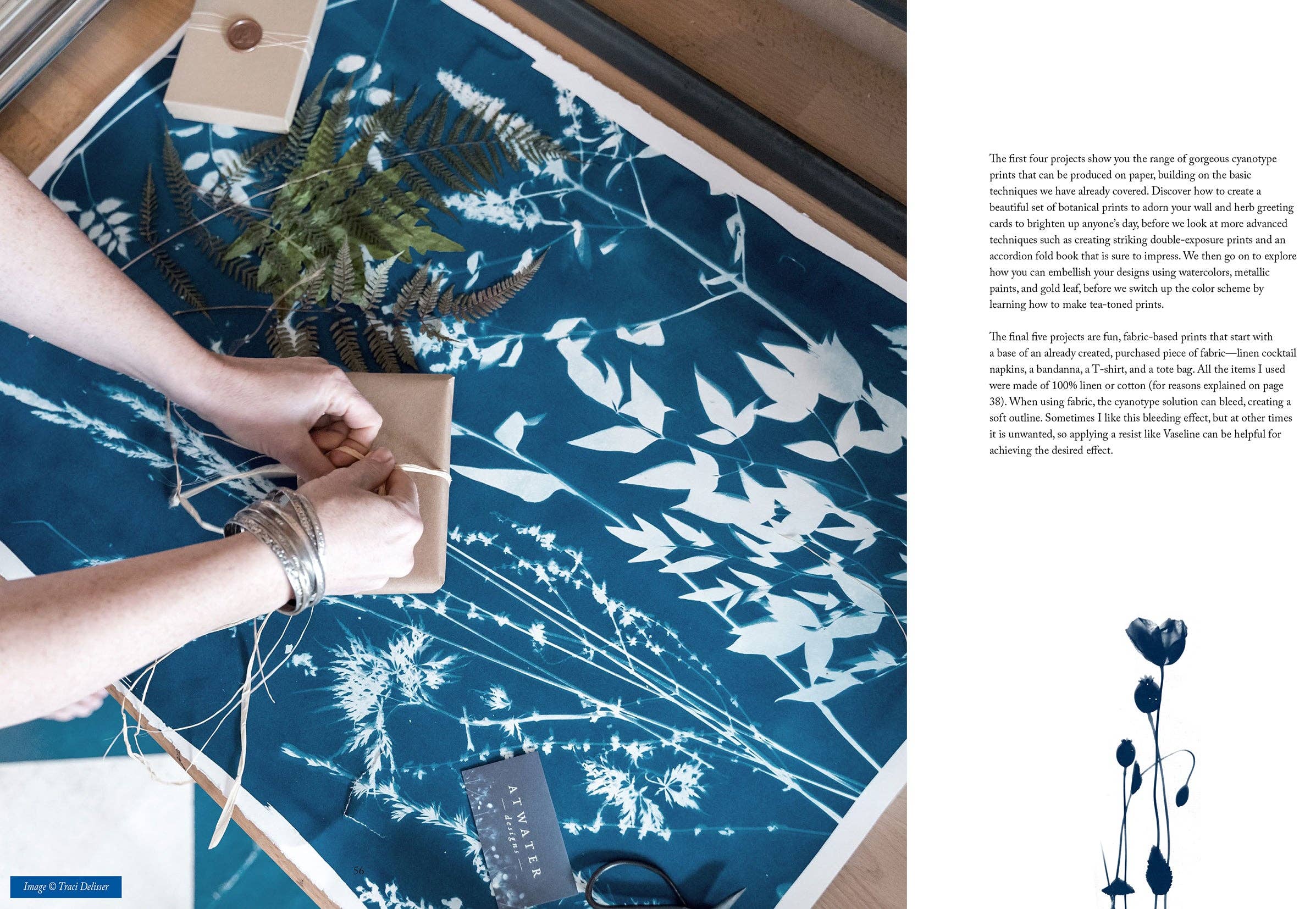 BOTANICAL CYANOTYPE: A GUIDE TO THE ART OF SUN PRINTING