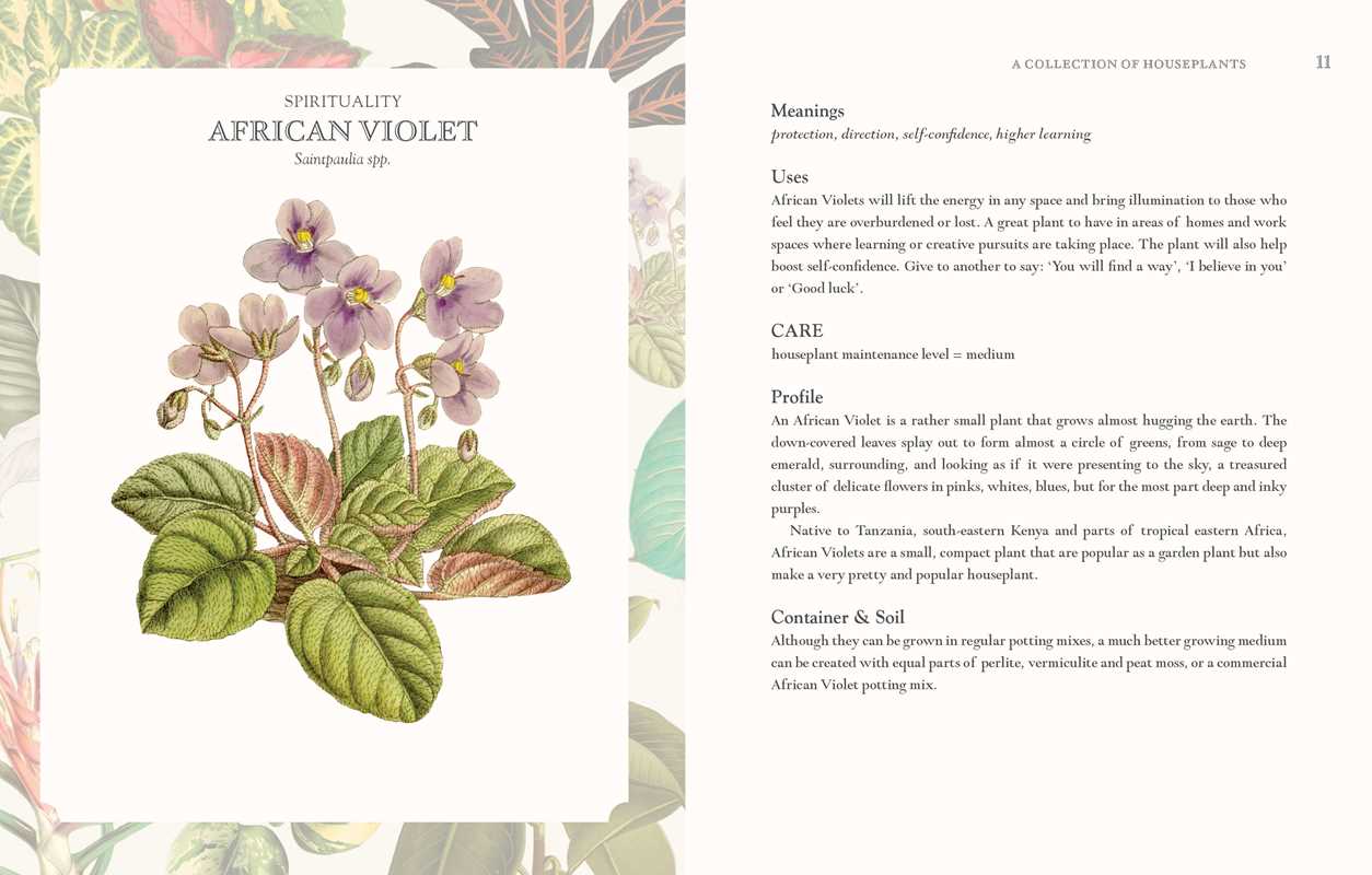 LANGUAGE OF HOUSEPLANTS BOOK