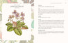 LANGUAGE OF HOUSEPLANTS BOOK