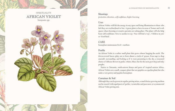 LANGUAGE OF HOUSEPLANTS BOOK