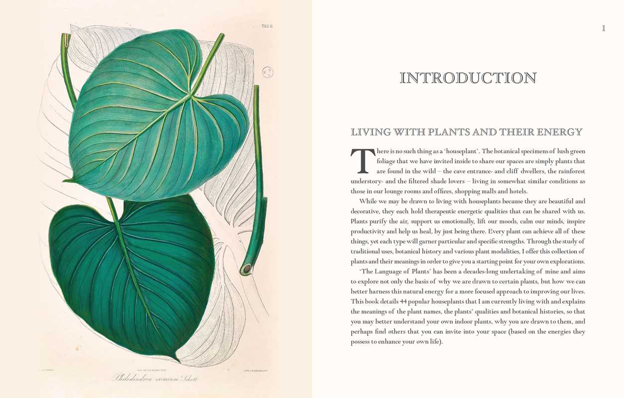 LANGUAGE OF HOUSEPLANTS BOOK