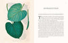 LANGUAGE OF HOUSEPLANTS BOOK