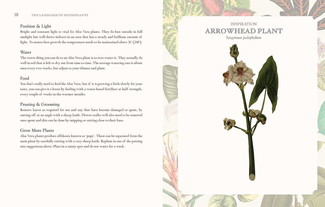 LANGUAGE OF HOUSEPLANTS BOOK