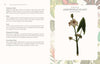 LANGUAGE OF HOUSEPLANTS BOOK