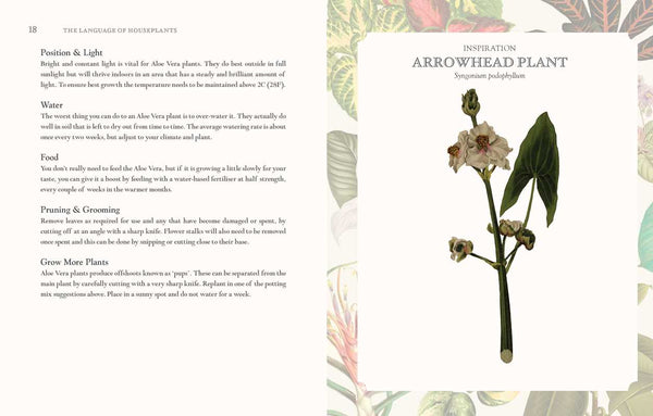 LANGUAGE OF HOUSEPLANTS BOOK