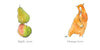 ORANGE PEAR APPLE BEAR BY EMILY GRAVETT BOOK