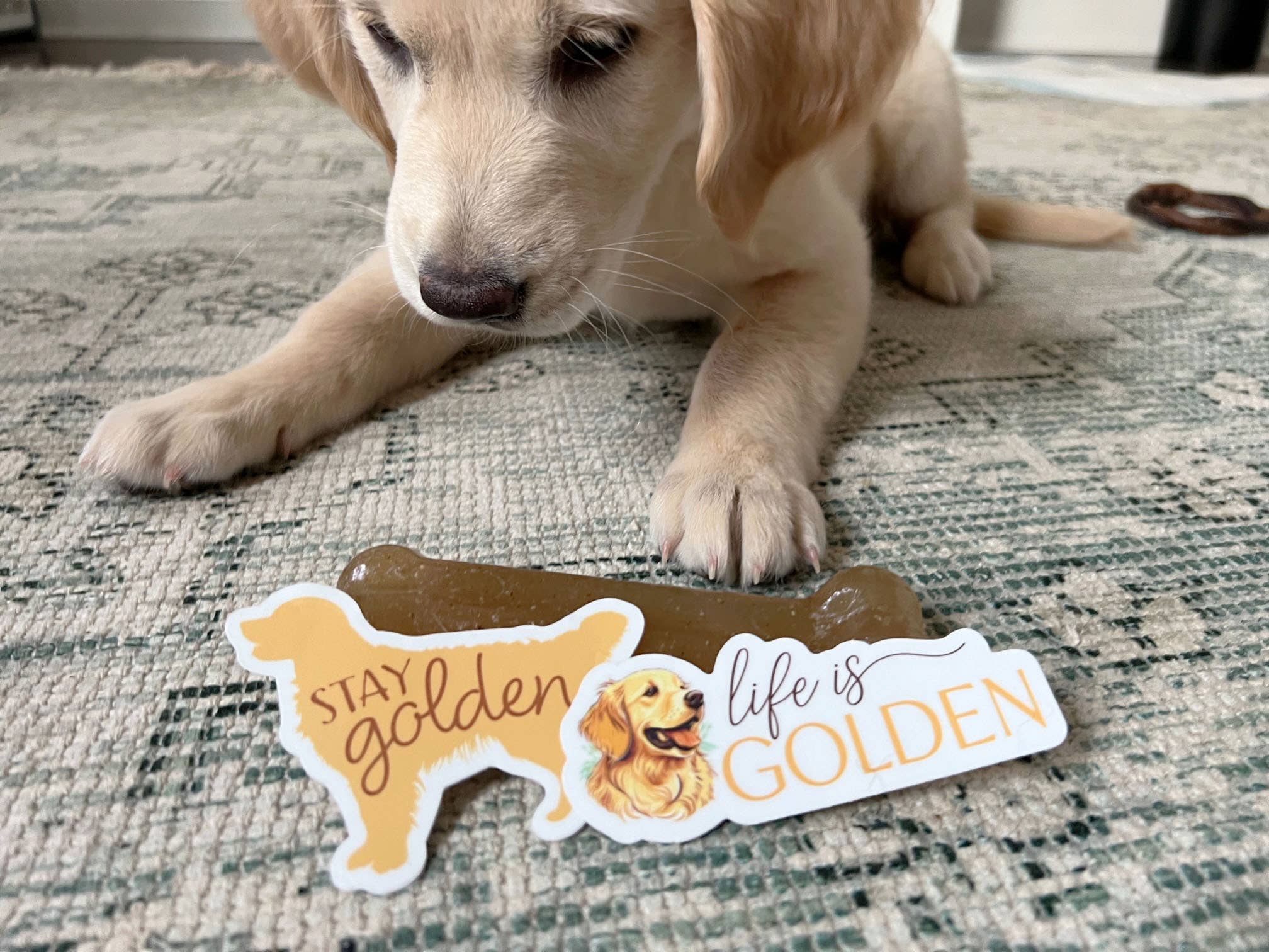 STAY GOLDEN - CUTE GOLDEN RETRIEVER DOG STICKER