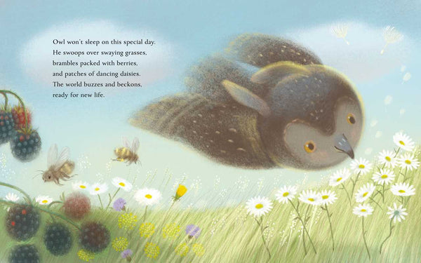 SUMMER BY KELSEY E. GROSS BOOK