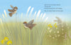 SUMMER BY KELSEY E. GROSS BOOK