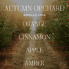 AUTUMN ORCHARD SOY CANDLE - PATTERNED 9 OZ - CLEAR JAR (MULLED CIDER)