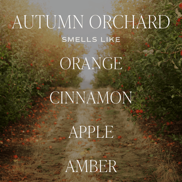 AUTUMN ORCHARD SOY CANDLE - PATTERNED 9 OZ - CLEAR JAR (MULLED CIDER)