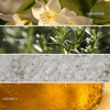 WILDFLOWERS AND SALF 4.6 OZ BATH BOMB