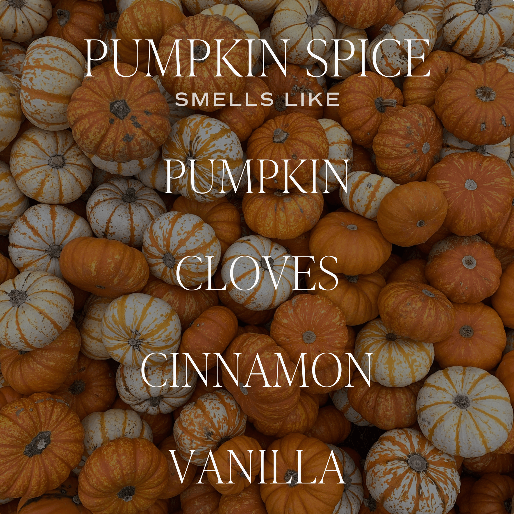 PUMPKIN SPICE SOY CANDLE - TINTED GLASS JAR - 12 OZ