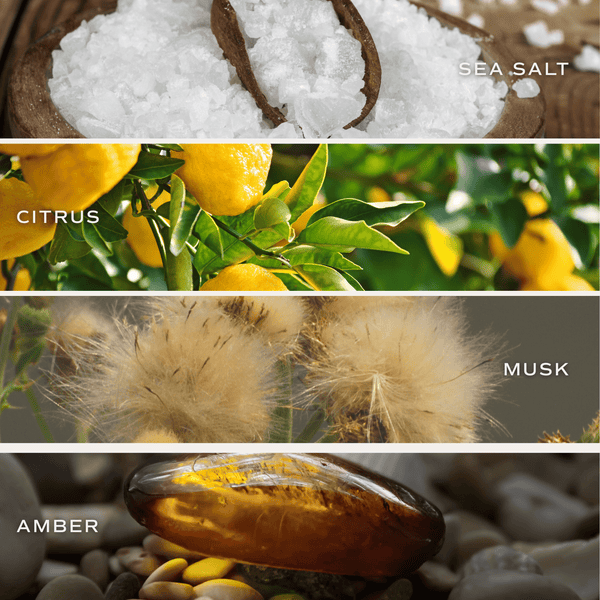 SALT AND SEA SOY PATTERNED CANDLE - CLEAR JAR  -9 OZ