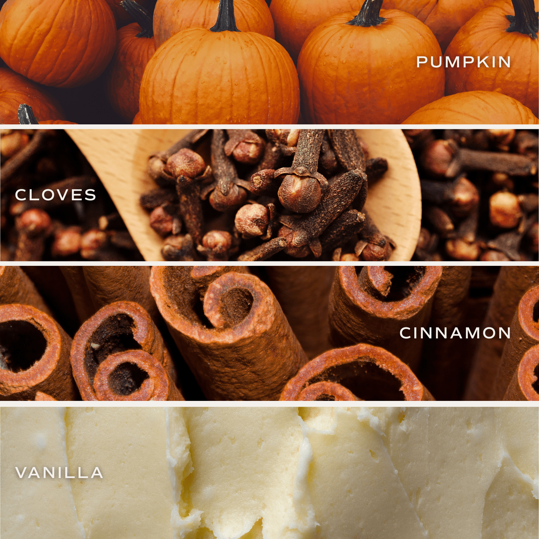 PUMPKIN SPICE SOY CANDLE - CERAMIC PUMPKIN JAR- 8 OZ