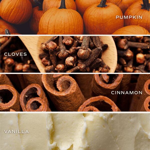 PUMPKIN SPICE SOY CANDLE - CERAMIC PUMPKIN JAR- 8 OZ
