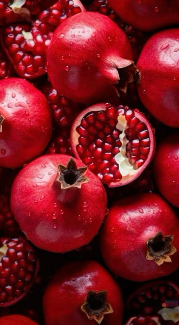 POMEGRANATE COSMO MIXER 24OZ