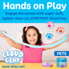 PETS SENSORY MINI PLAY KIT JAR WITH CLOUD CLAY