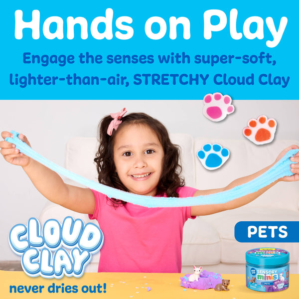 PETS SENSORY MINI PLAY KIT JAR WITH CLOUD CLAY