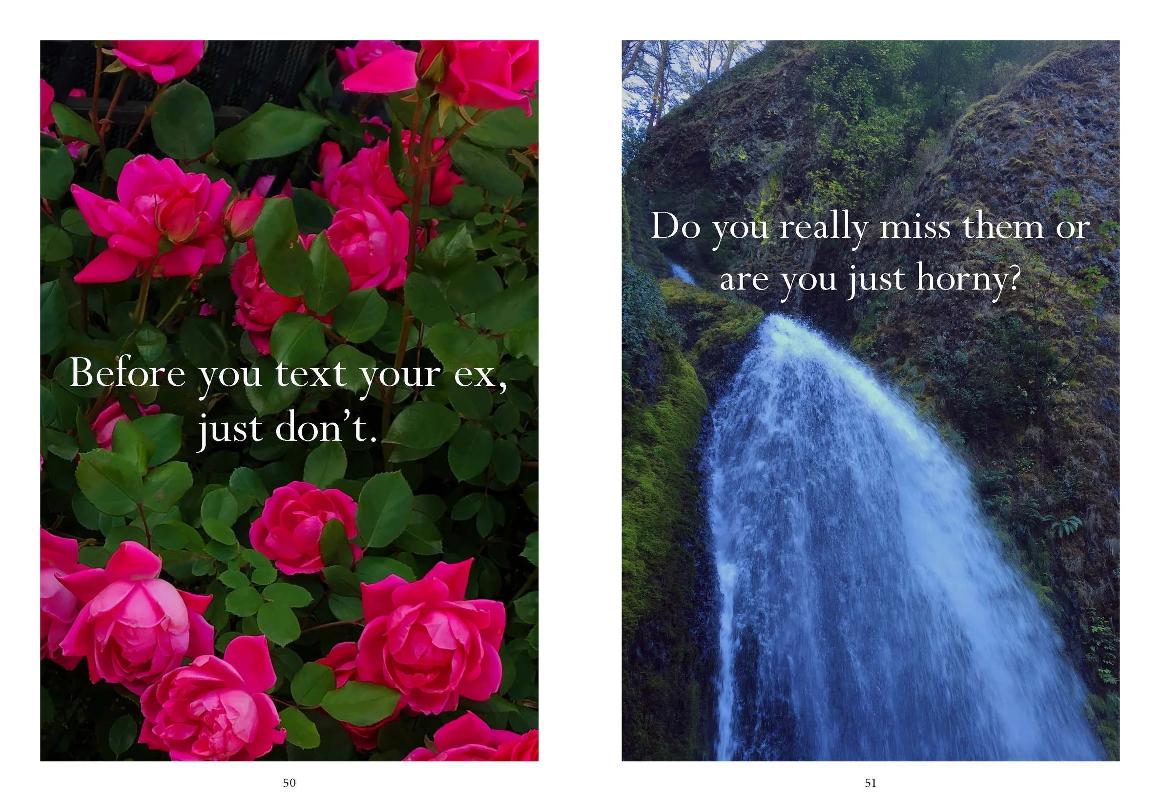 SORRY IN ADVANCE FOR MAKING THINGS WEIRD BOOK