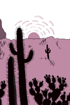 POCKET NATURE SERIES: SUNSET SEEKING