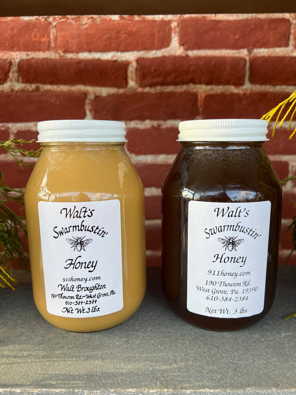 QUART TOTALLY RAW HONEY 3LB