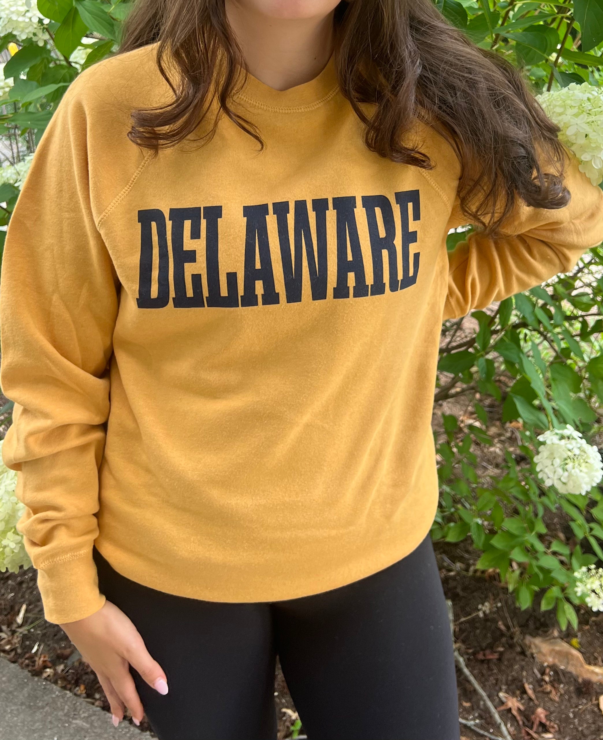 DELAWARE LEGEND CREW