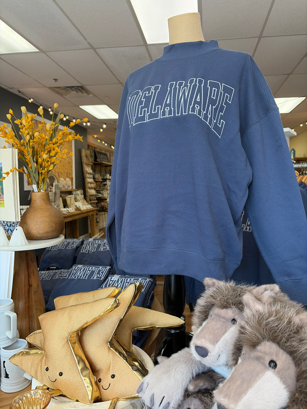 A blue sweatshirt displayed on a mannequin torso in a retail store setting, with 'Delaware’' printed across the back in white outlined lettering. Star-shaped pillows and plush toys are visible in the foreground, and store fixtures and flowers appear in the background.