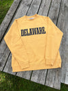 DELAWARE LEGEND CREW