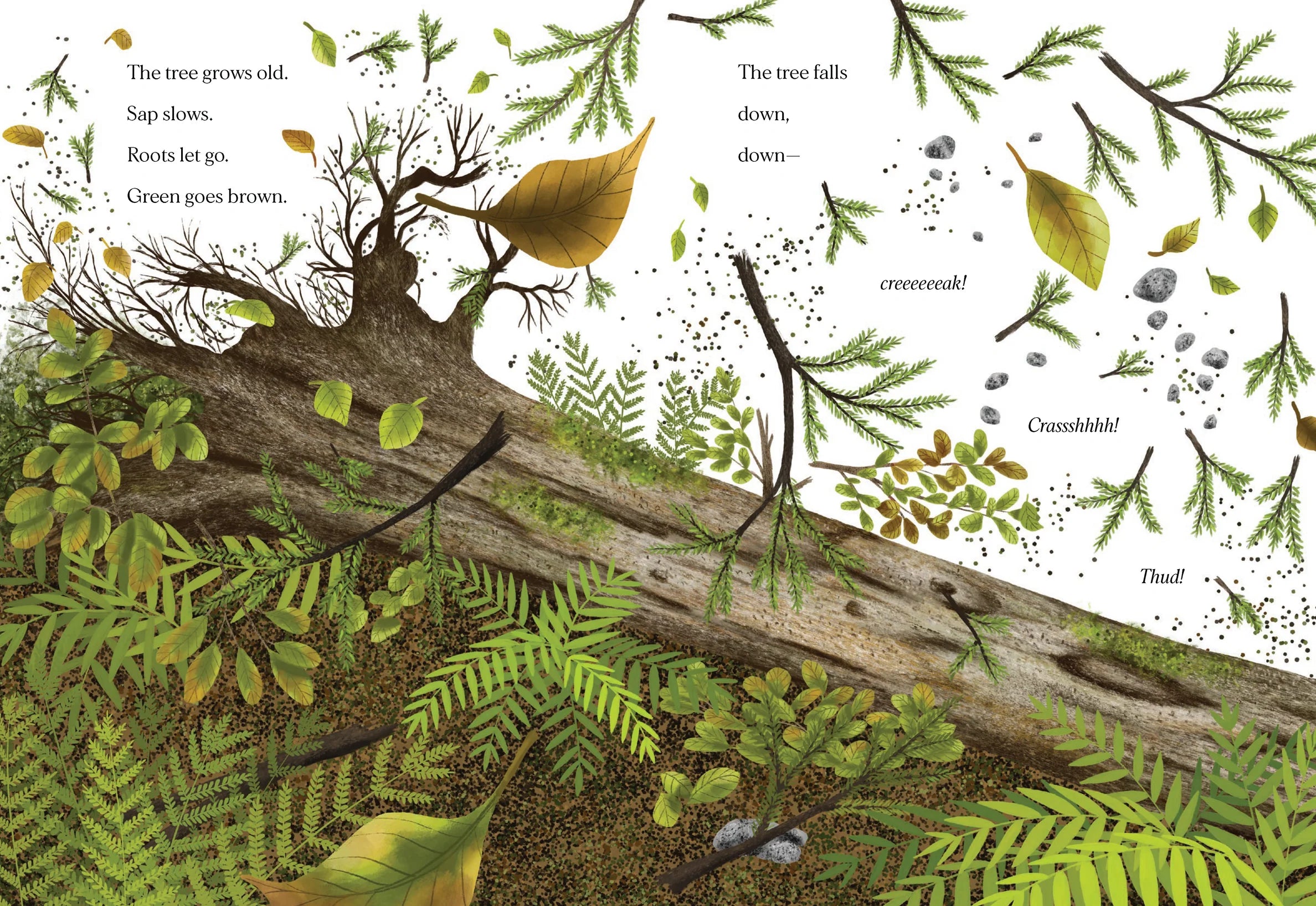 WHEN A TREE FALLS BOOK
