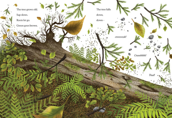 WHEN A TREE FALLS BOOK