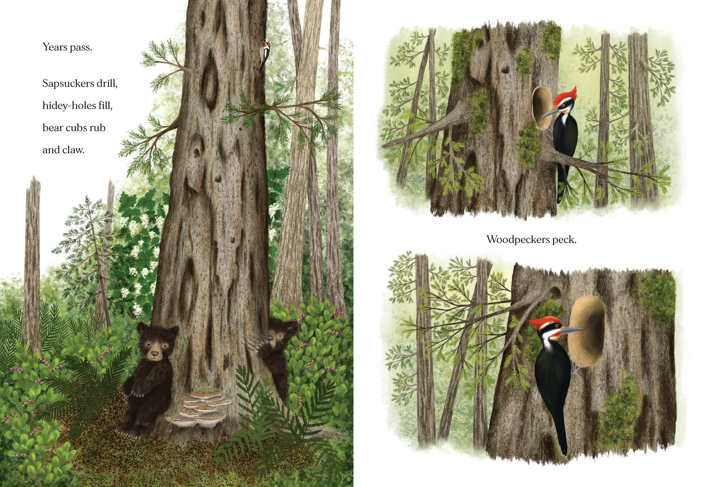 WHEN A TREE FALLS BOOK