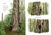 WHEN A TREE FALLS BOOK