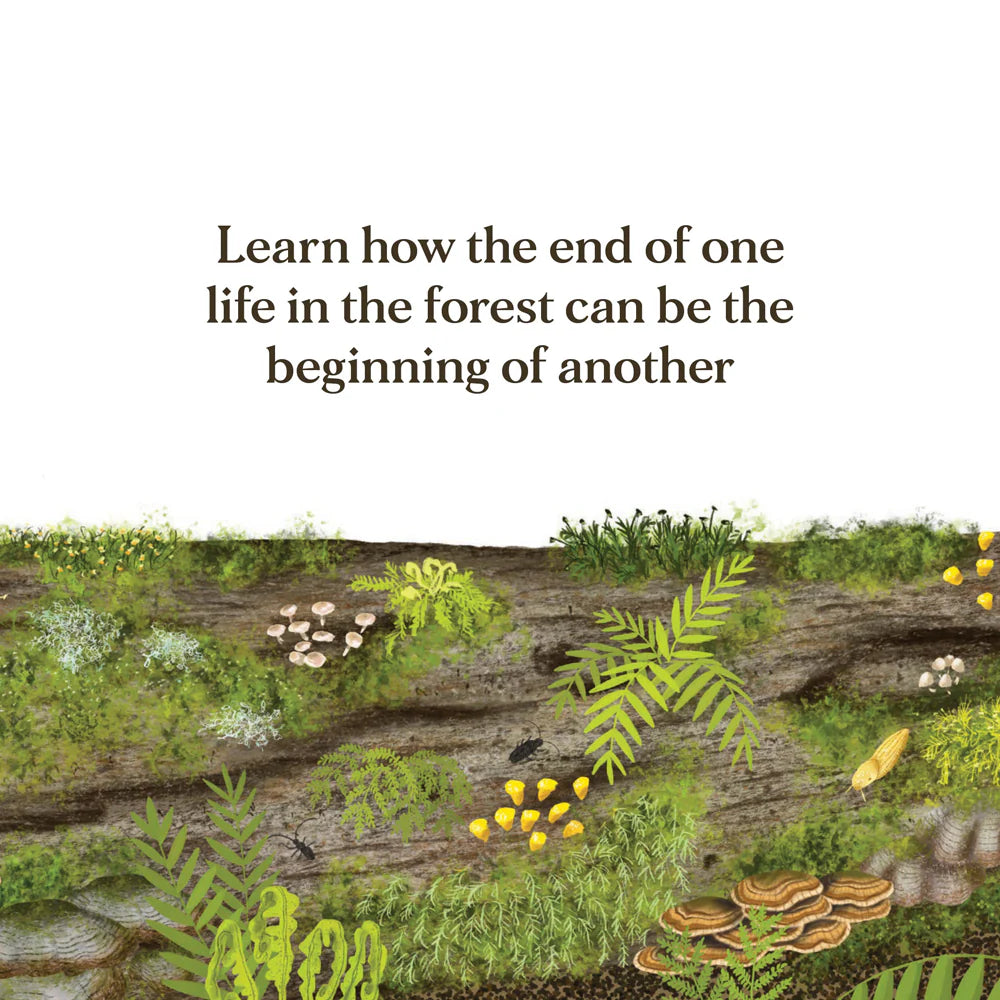 WHEN A TREE FALLS BOOK