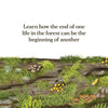 WHEN A TREE FALLS BOOK