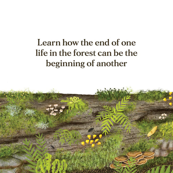 WHEN A TREE FALLS BOOK