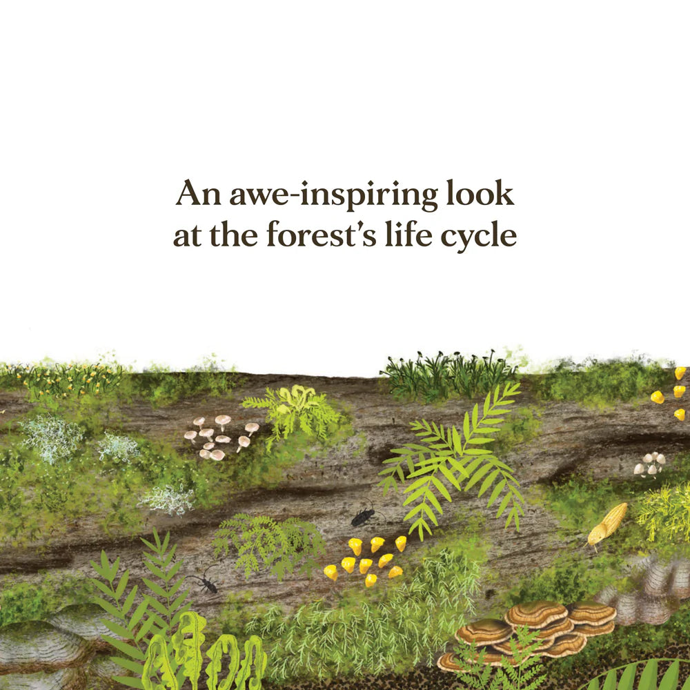 WHEN A TREE FALLS BOOK